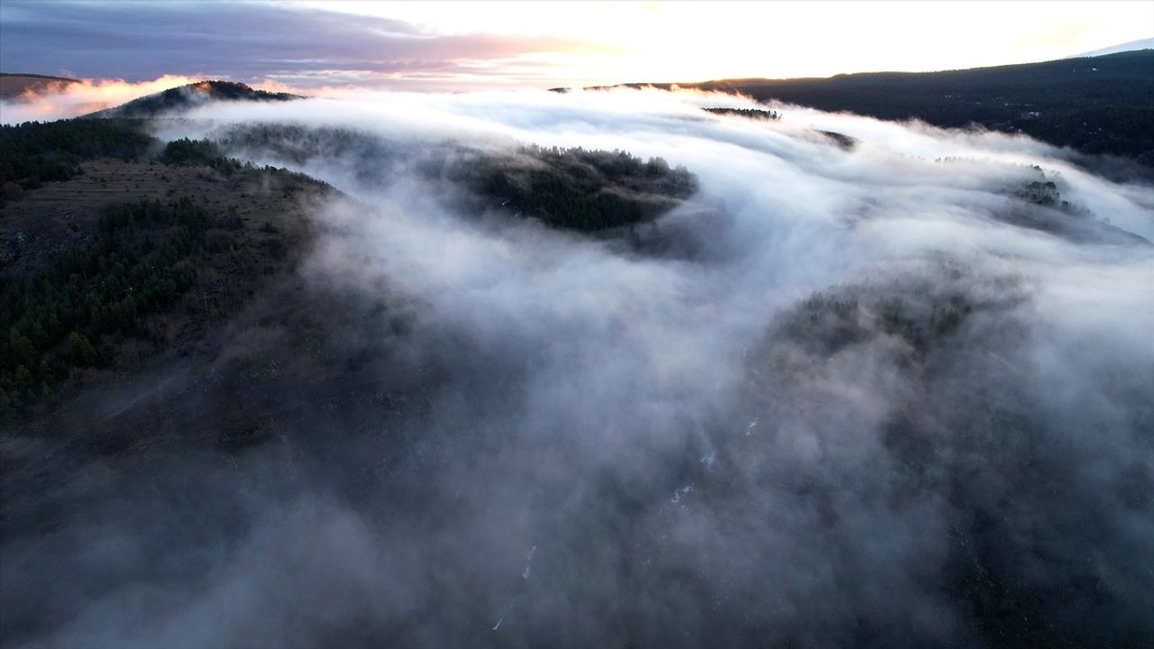 Erzurum'un Sarıçam Ormanları Sağanak Sonrası Sisle Kaplandı