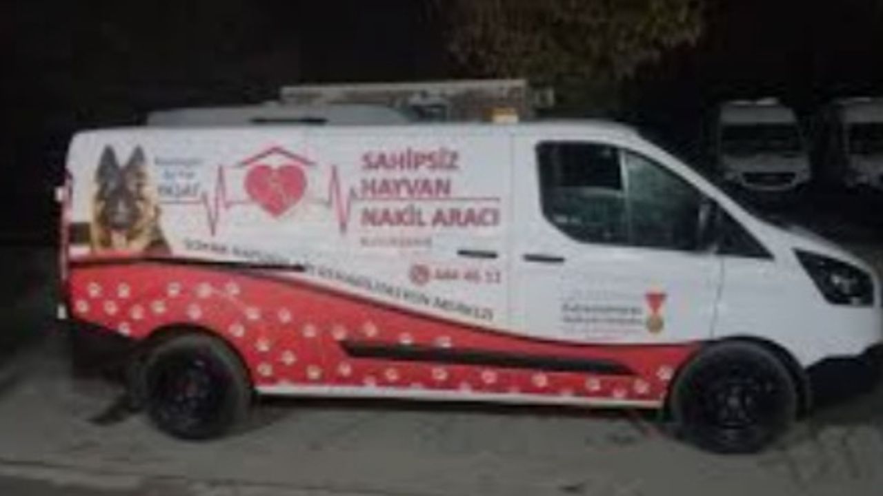 Eskişehir'den Sahipsiz Köpekler İçin Yeni Karar: Protokol İmzalandı