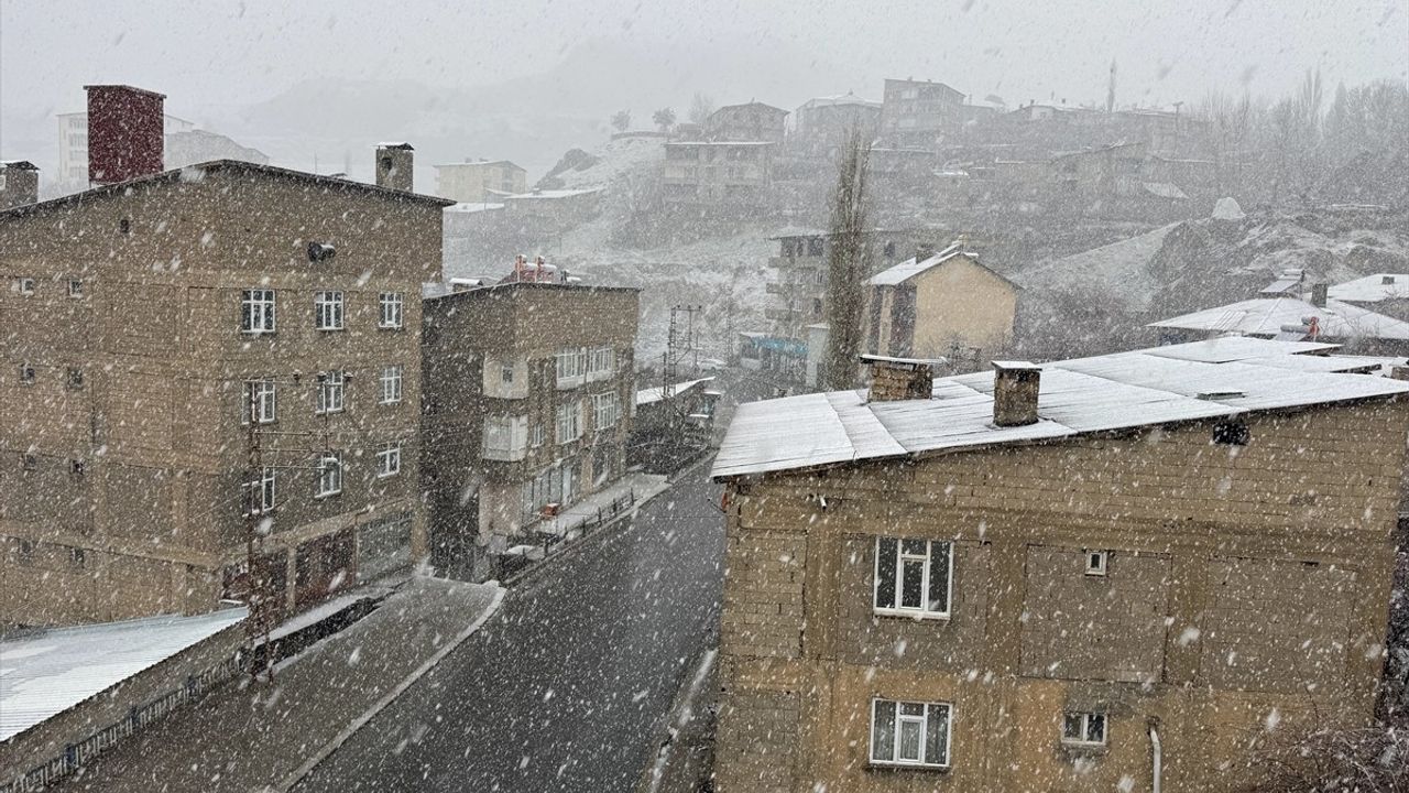 Hakkari'de Nisan Ayında Kar Yağışı ve Sis Etkili Oldu