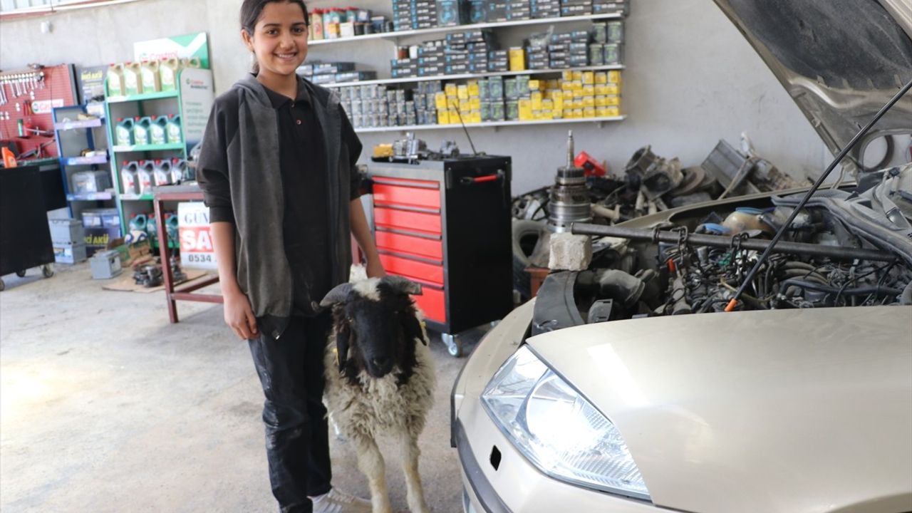 Hatay'da 14 Yaşındaki Nehir, Hediye Edilen Kuzuyu Babasının Tamirhanesinde Besliyor