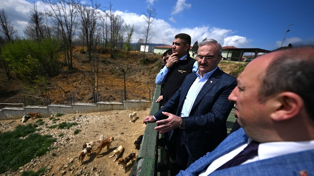 İçişleri Bakan Yardımcısı Karaloğlu, Düzce'de Sahipsiz Hayvanların Yaşam Alanını İnceledi