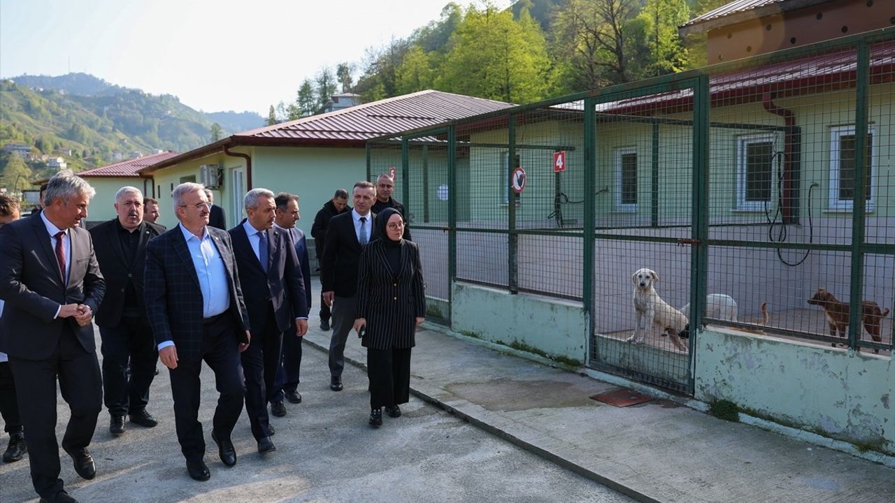 İçişleri Bakan Yardımcısı Münir Karaloğlu Rize'de İncelemelerde Bulundu