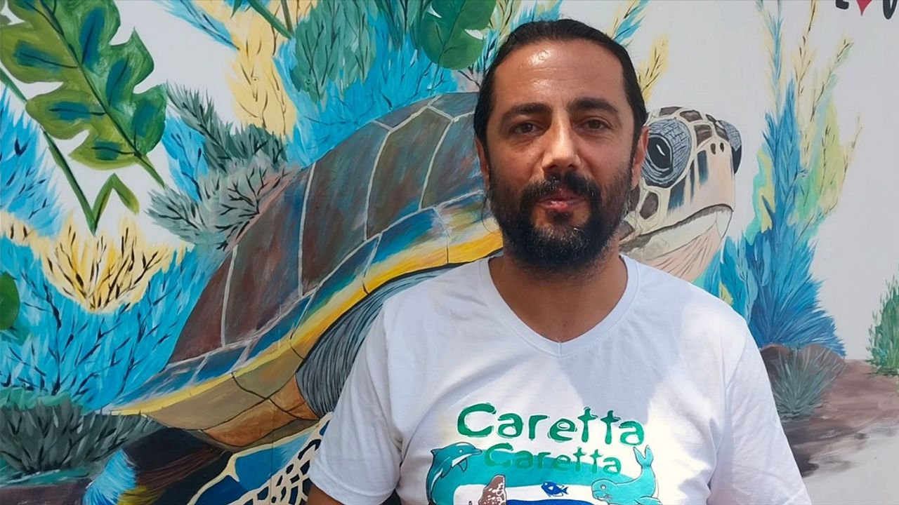 İztuzu Sahili'nde Caretta Caretta'lar için Yuvalama Hazırlıkları Tamamlandı