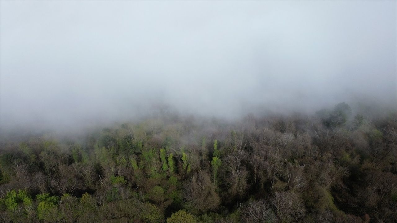Karadeniz'in Abana İlçesinde Sis Manzarası Dronla Görüntülendi