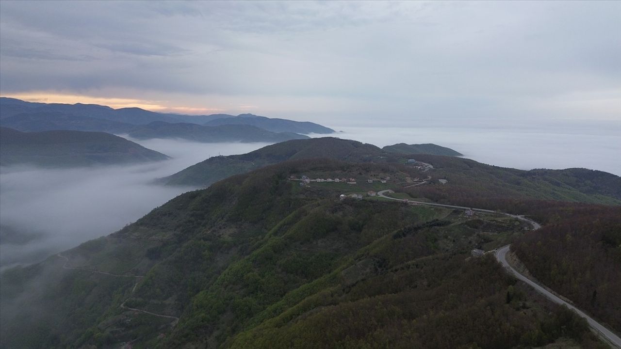 Kastamonu Ormanları, Sis Bulutlarıyla Büyüleyici Bir Manzara Sunuyor