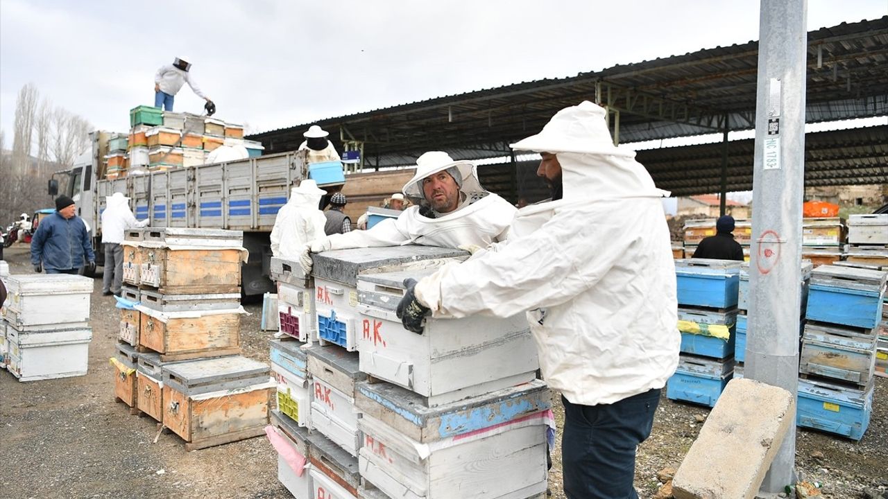 Kayseri Büyükşehir Belediyesi, 300 Üreticiye 600 Arılı Kovan Dağıttı