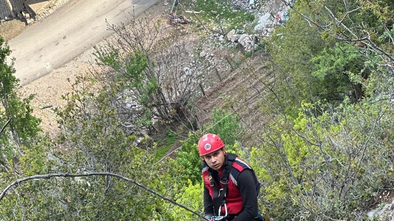 Kayseri'de Mahsur Kalan Keçiler İtfaiye Ekiplerince Kurtarıldı