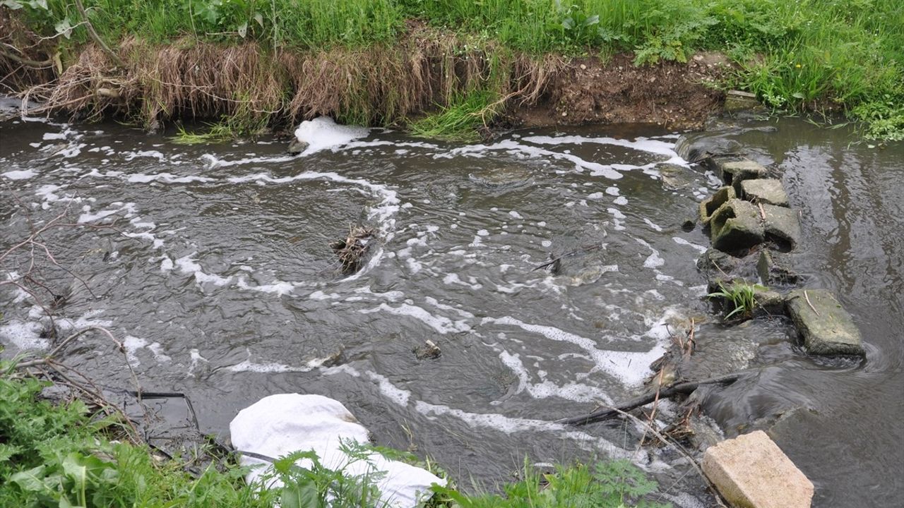 Kırklareli'nde Saranlı Deresi'nde Kirlilik Sorunu: Renk Değişimi ve Köpük Oluşumu