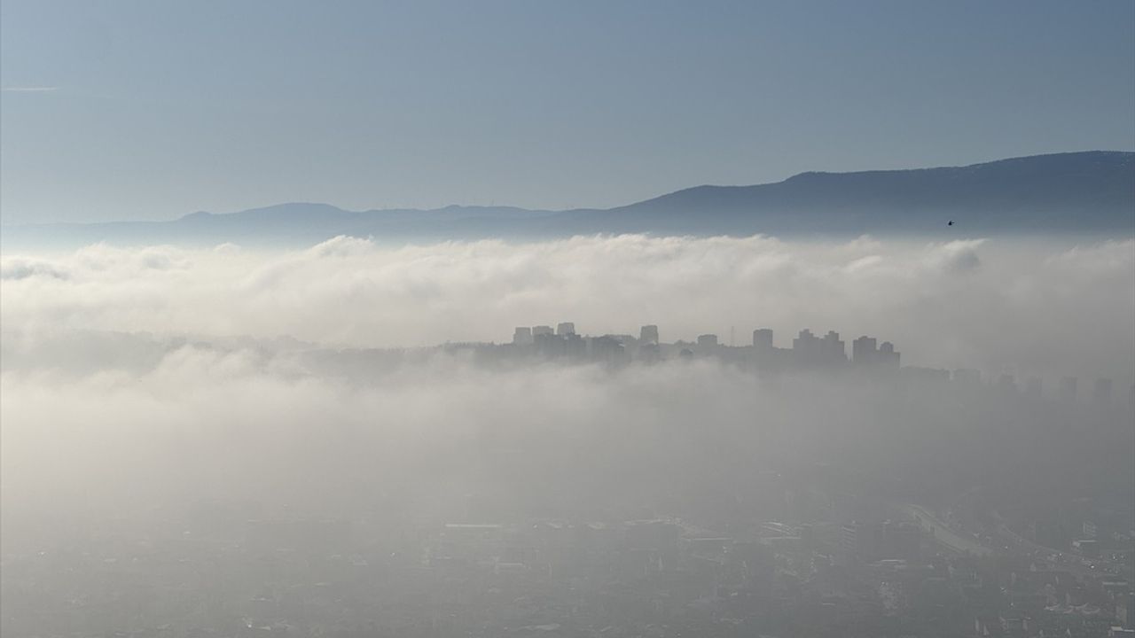Kocaeli'de Sis Bulutu Etkili Oldu: Kartepe ve İzmit'te 'Sis Denizi' Görüntüsü