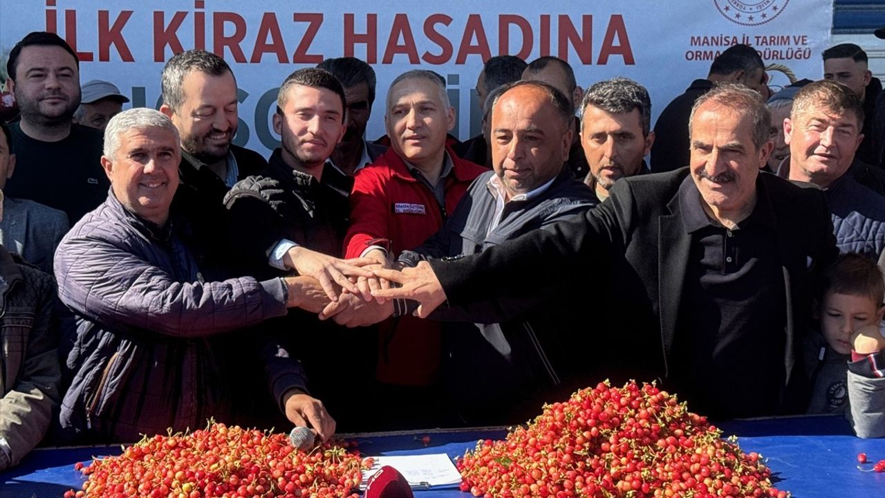 Manisa'da Sezonun İlk Erkenci Kirazları Hasat Edildi