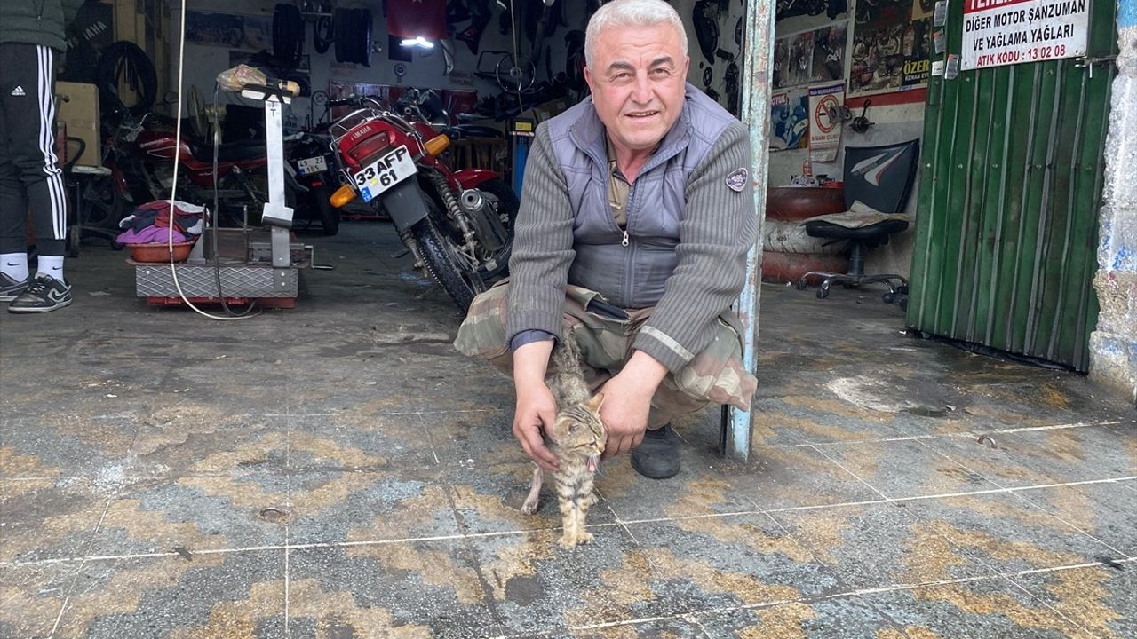 Manisalı Esnaf Yaralı Kediyi Sahiplendi ve Tedavi Ettirdi