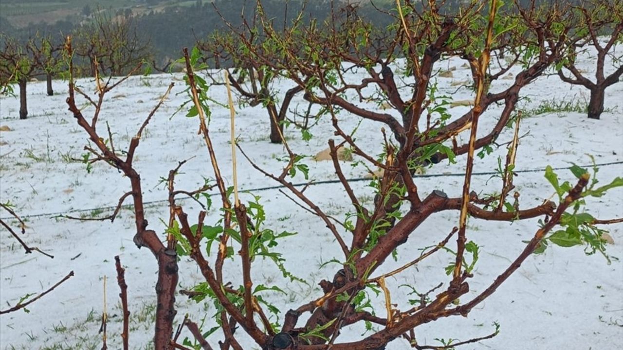 Mersin'de Dolu Yağışı Tarım Alanlarına Zarar Verdi
