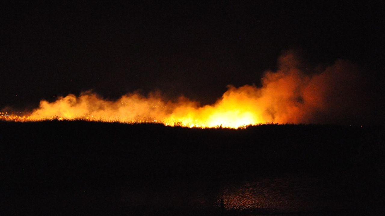 Mersin Göksu Deltası'ndaki Yangına Müdahale Başladı