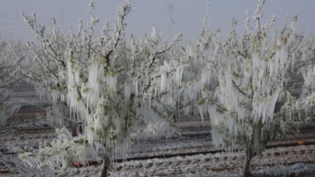 Meteoroloji Genel Müdürlüğü'nden Yaz Mevsimi için Uyarı: Gıda Fiyatları Artabilir