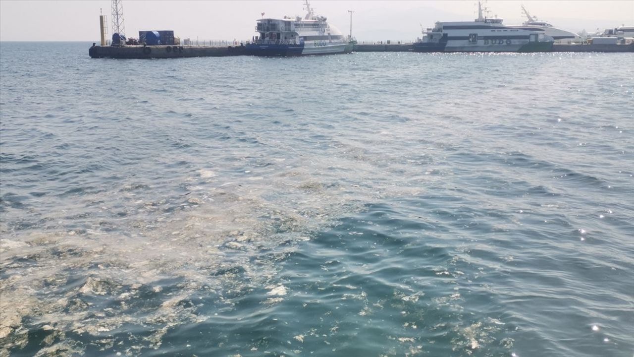 Mudanya Kıyılarında Müsilaj Görüntülendi