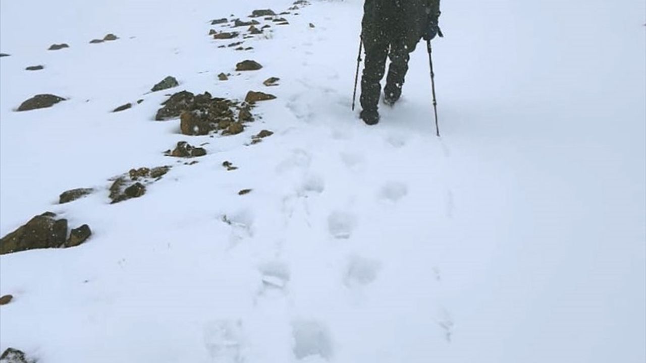 Muğla'nın Yüksek Kesimlerinde Kar Yağışı Etkili Oldu