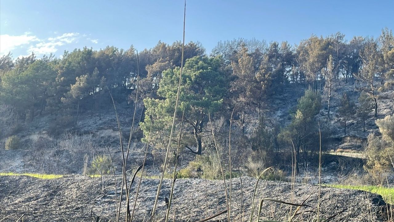 Muğla Seydikemer'de Tarım Arazisinden Ormana Sıçrayan Yangın Kontrol Altına Alındı