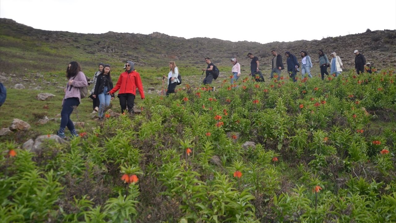 Muş'ta Doğaseverler Ters Lale Güzelliğini Keşfetti