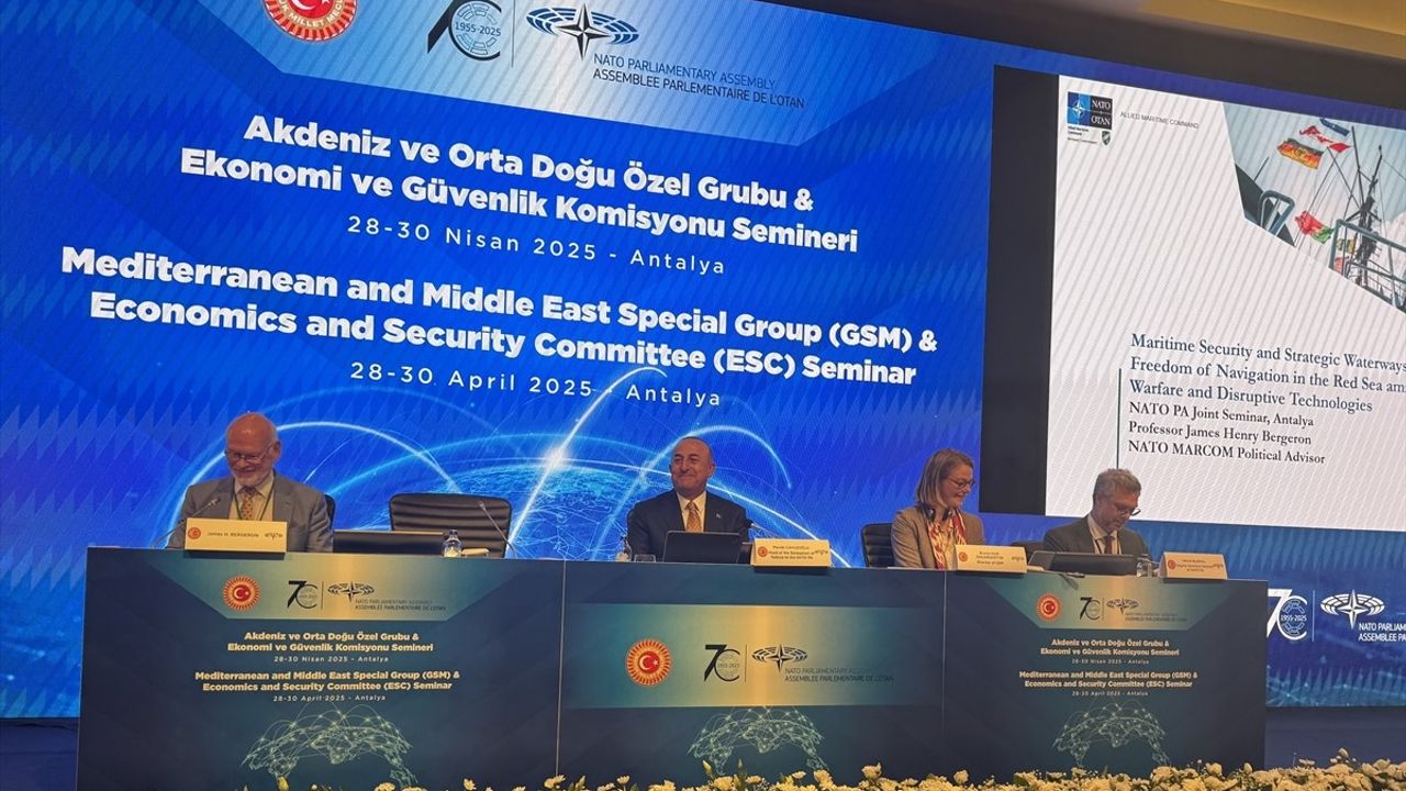 NATO Parlamenter Asamblesi Antalya'da Terörizm ve Güvenlik Konularını Ele Aldı