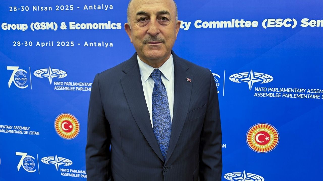 NATO Parlamenter Asamblesi Antalya'daki Seminere Son Verdi