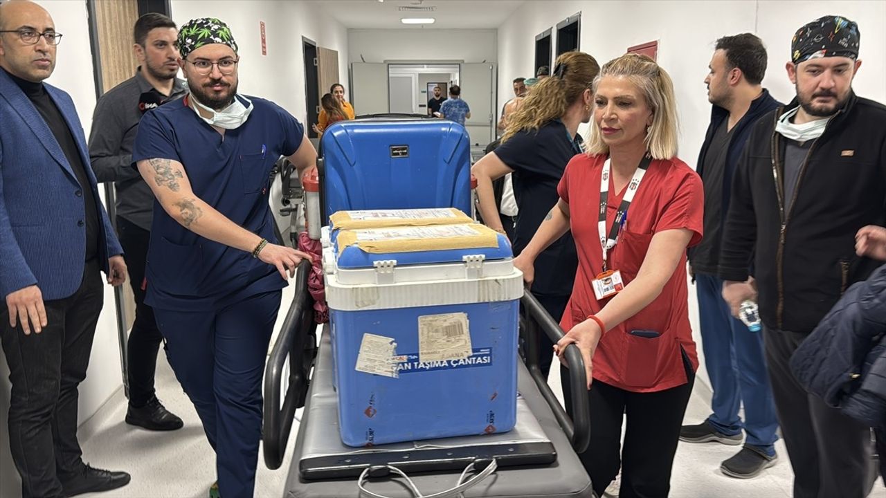 Niğde'de Beyin Ölümü Gerçekleşen Kişinin Organları İki Hastaya Umut Oldu