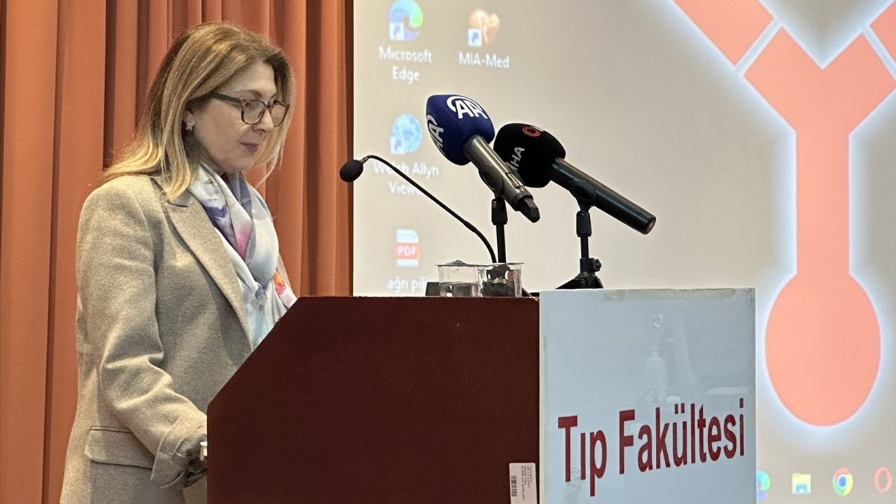 Ondokuz Mayıs Üniversitesinde 'Ağrı Pili ve Uygulama Alanları' Paneli Düzenlendi