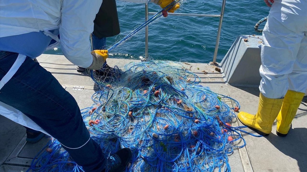 Ordu'da Kaçak Kalkan Ağı Ele Geçirildi