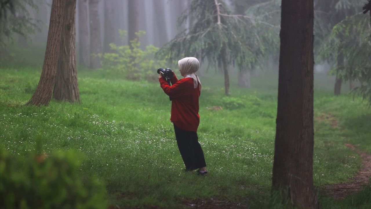 Orta ve Doğu Karadeniz'de Hava Ulaşımında Sis Nedeniyle İptaller ve Gecikmeler