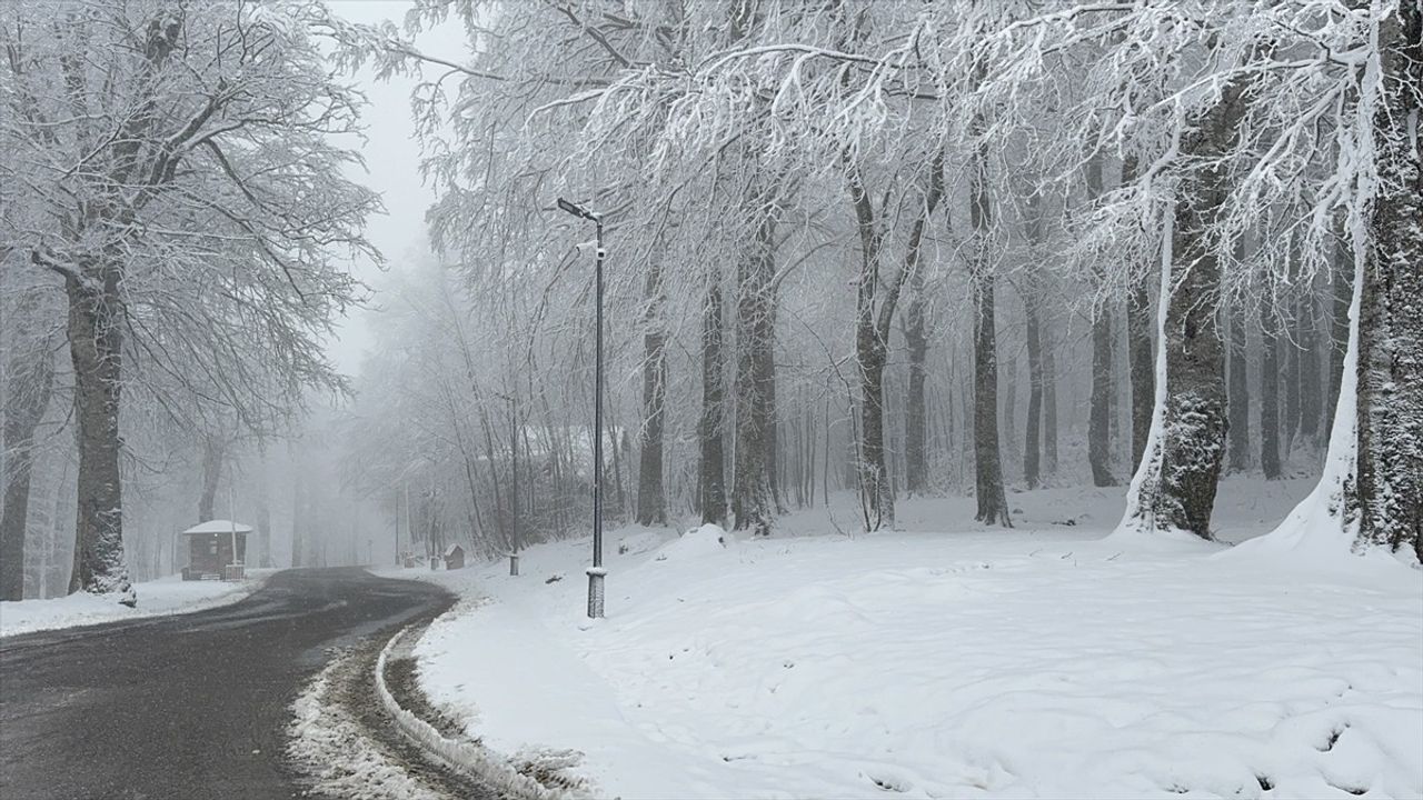 Sakarya, Kocaeli, Bolu, Düzce ve Karabük'te Kar Yağışı Etkili Oluyor