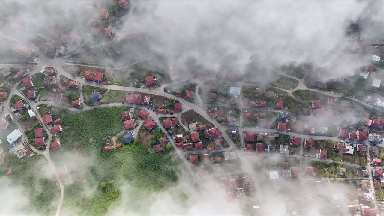 Sakarya'nın Kocaali İlçesinde Etkili Sis Bulutu Görüntüleri