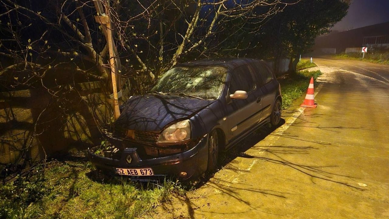 Samsun'un Bafra İlçesinde Aydınlatma Direğine Çarpan Otomobilde 3 Yaralı