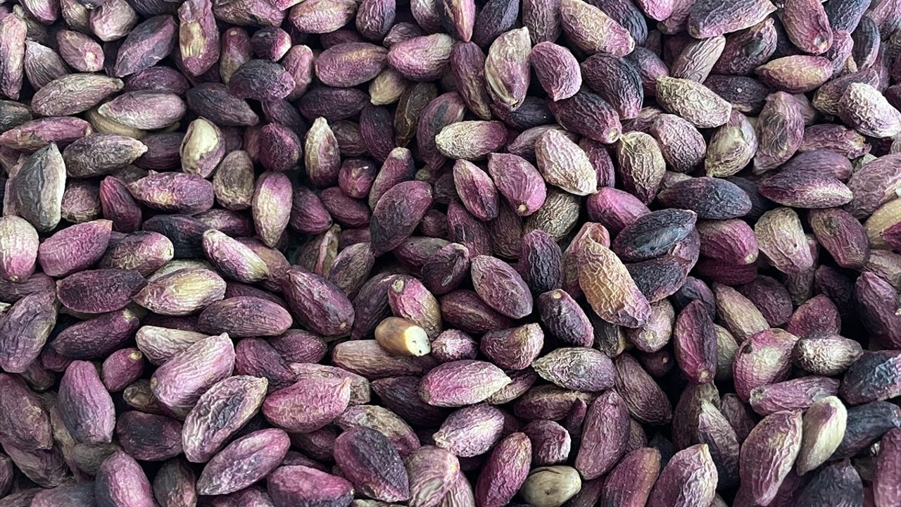 Şanlıurfa'da Lisanslı Fıstık Deposu İnşaatı Hızla İlerliyor