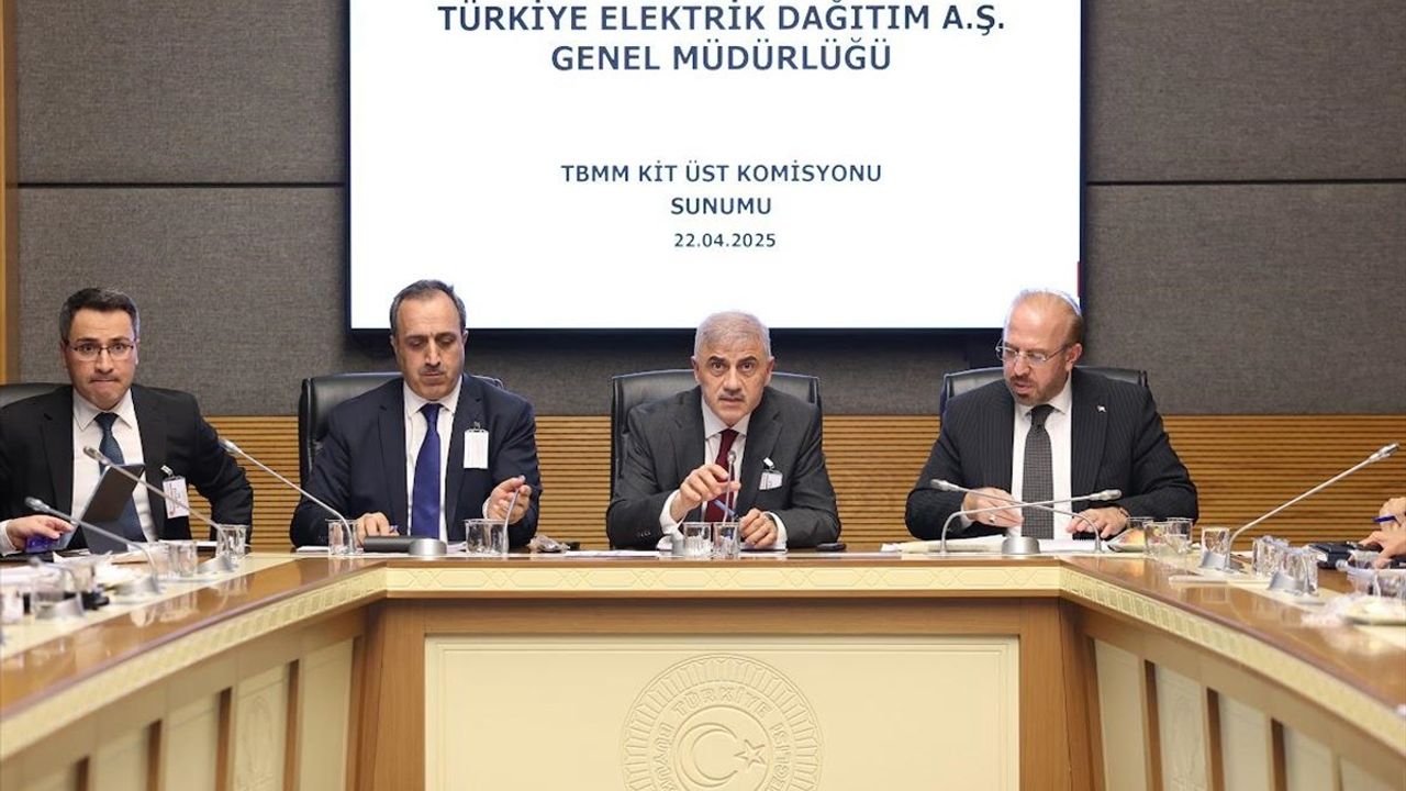 TBMM KİT Komisyonu'nda TEDAŞ'ın 2021 ve 2022 Hesapları Görüşüldü