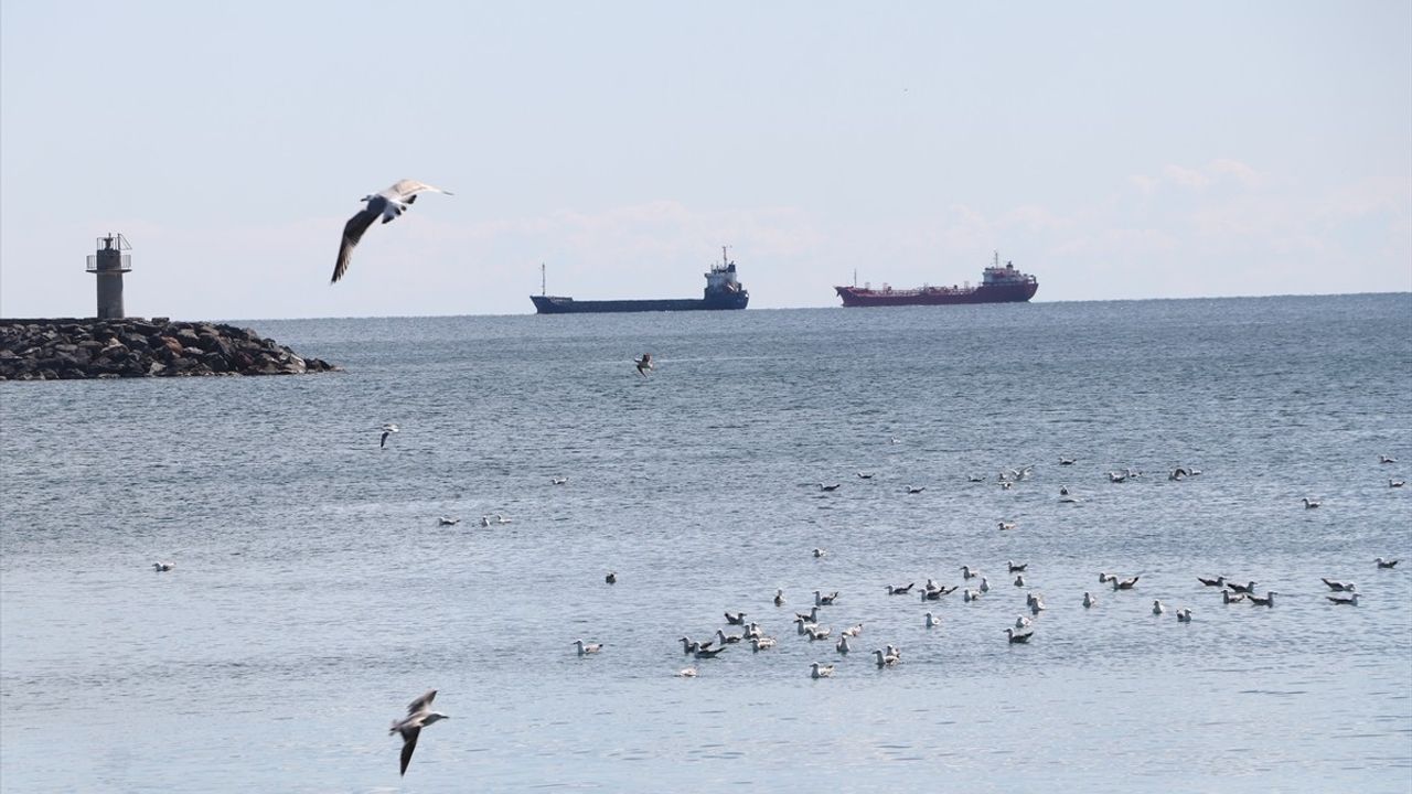 Tekirdağ'da Deniz Ulaşımı Normalleşti