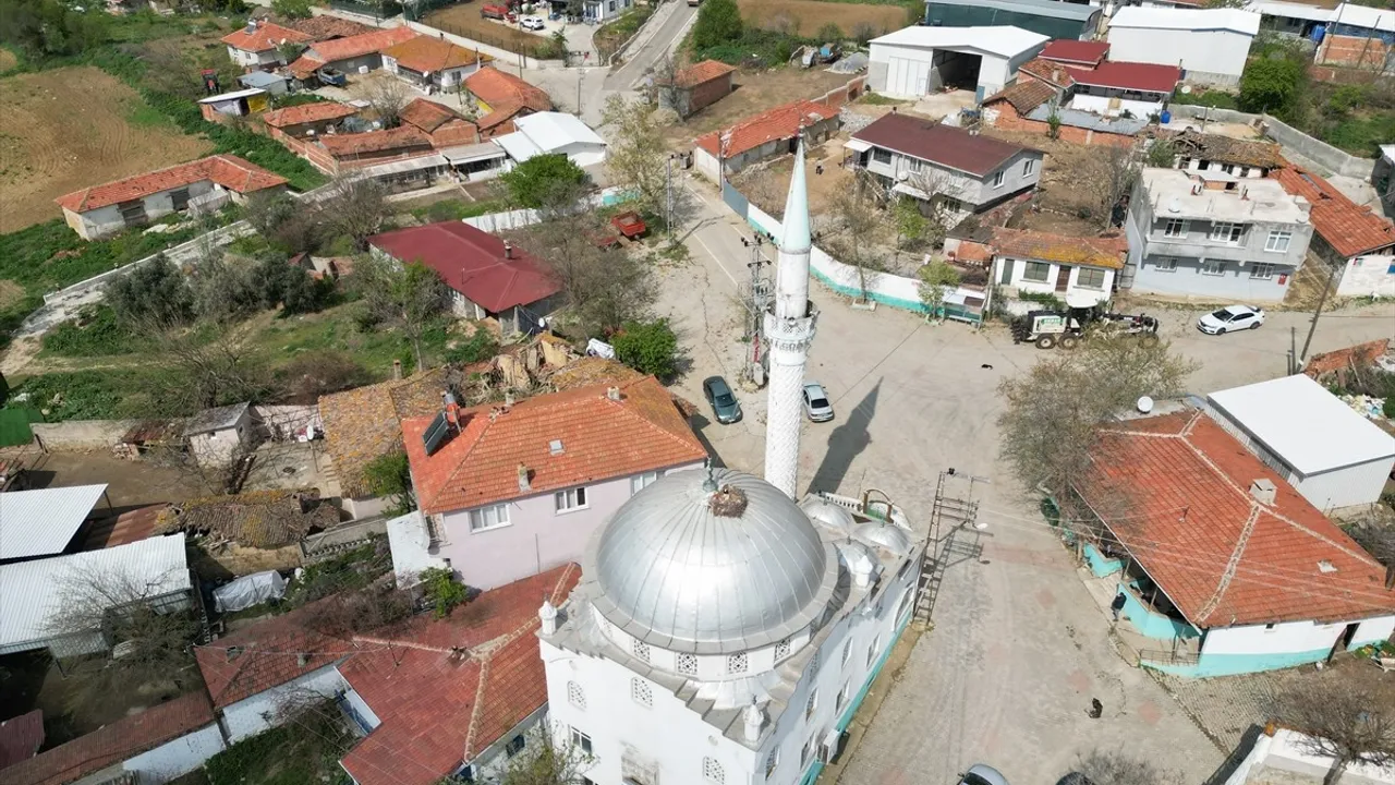 Tekirdağ'da Leylekler Her Yıl Aynı Cami Kubbesinde Yuvalanıyor