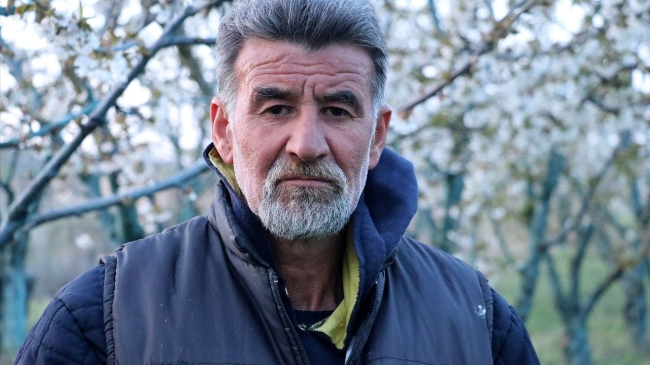 Tekirdağ'da Üreticiler Zirai Don Riskine Karşı Nöbet Tutuyor