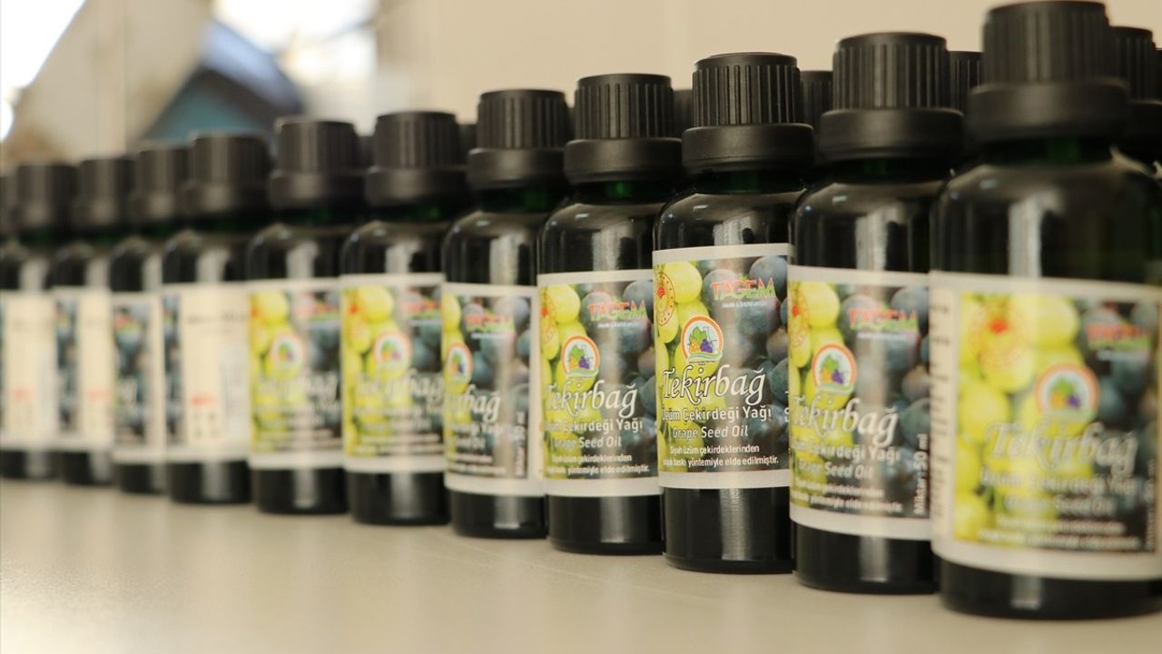 Tekirdağ'da Üzüm Çekirdekleri Ekonomiye Kazandırılıyor