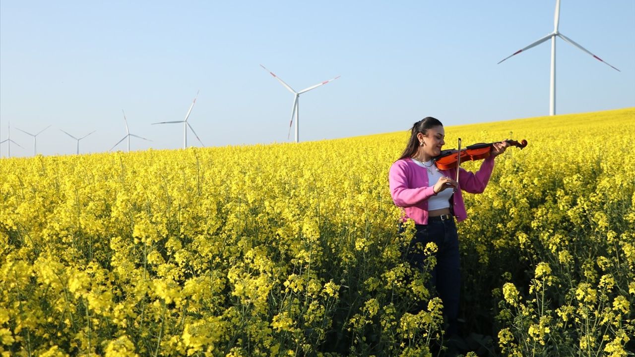 Tekirdağ'ın Kanola Tarlaları Fotoğraf Tutkunlarını Ağırlıyor