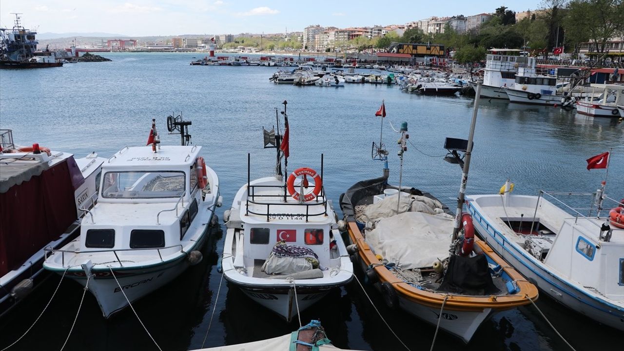 Tekirdağlı balıkçılar poyraz nedeniyle üç gündür denize açılamıyor