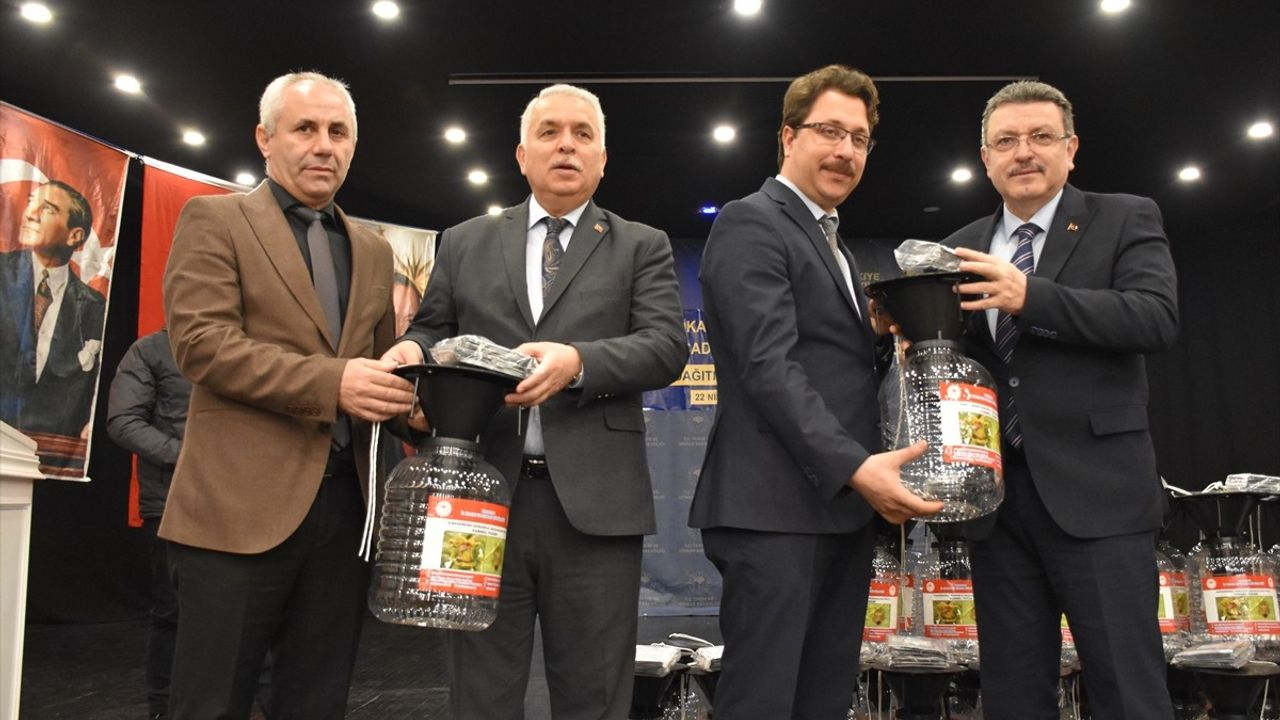 Trabzon'da Kahverengi Kokarca ile Mücadele İçin 6 Bin 550 Feromon Tuzak Asılacak