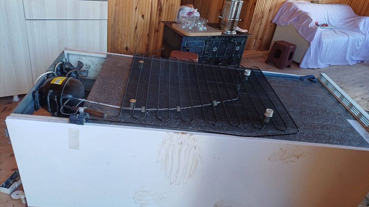 Trabzon'un Maçka İlçesinde Ayılar Yayla Evlerine Zarar Verdi