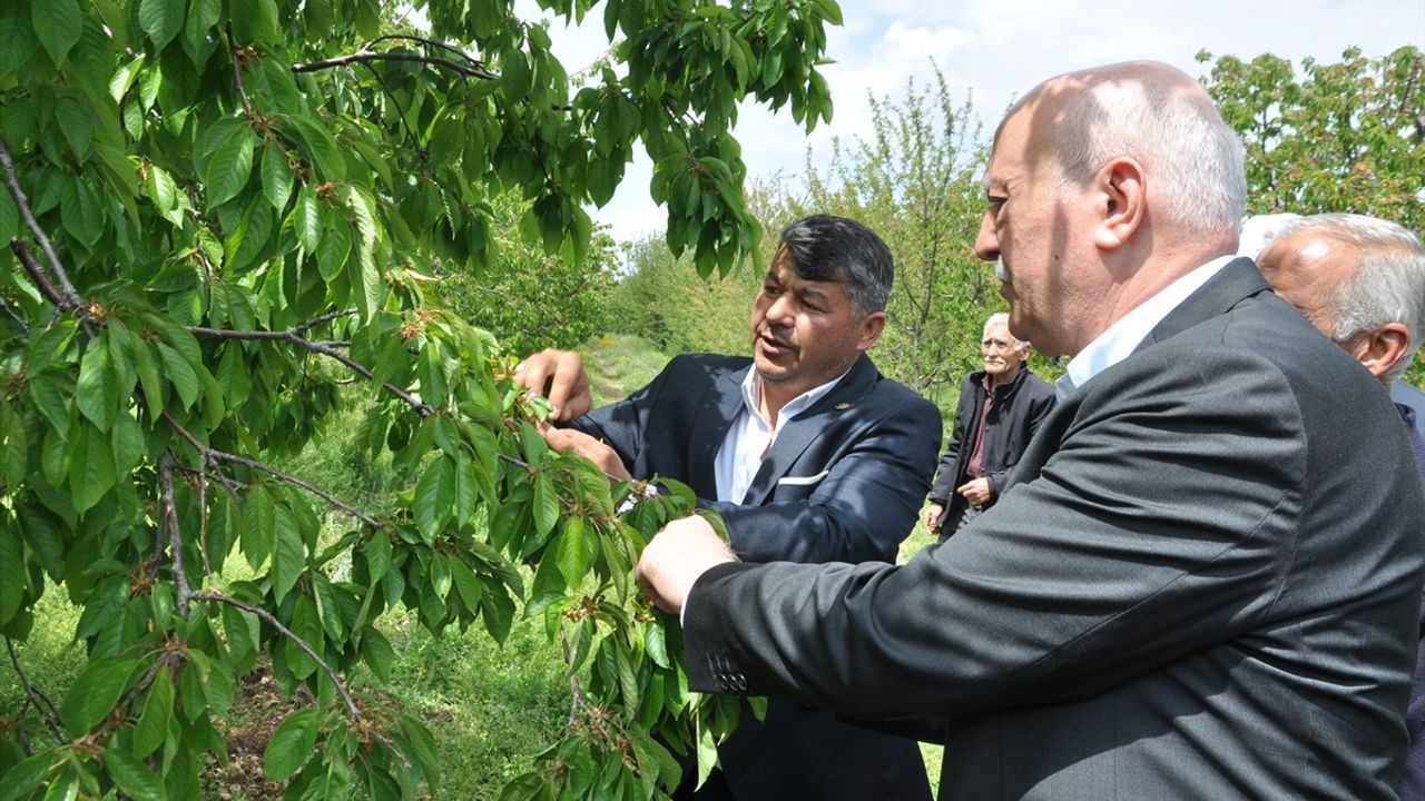 TZOB Genel Başkanı Bayraktar, Konya'da Kiraz Bahçelerini İnceledi