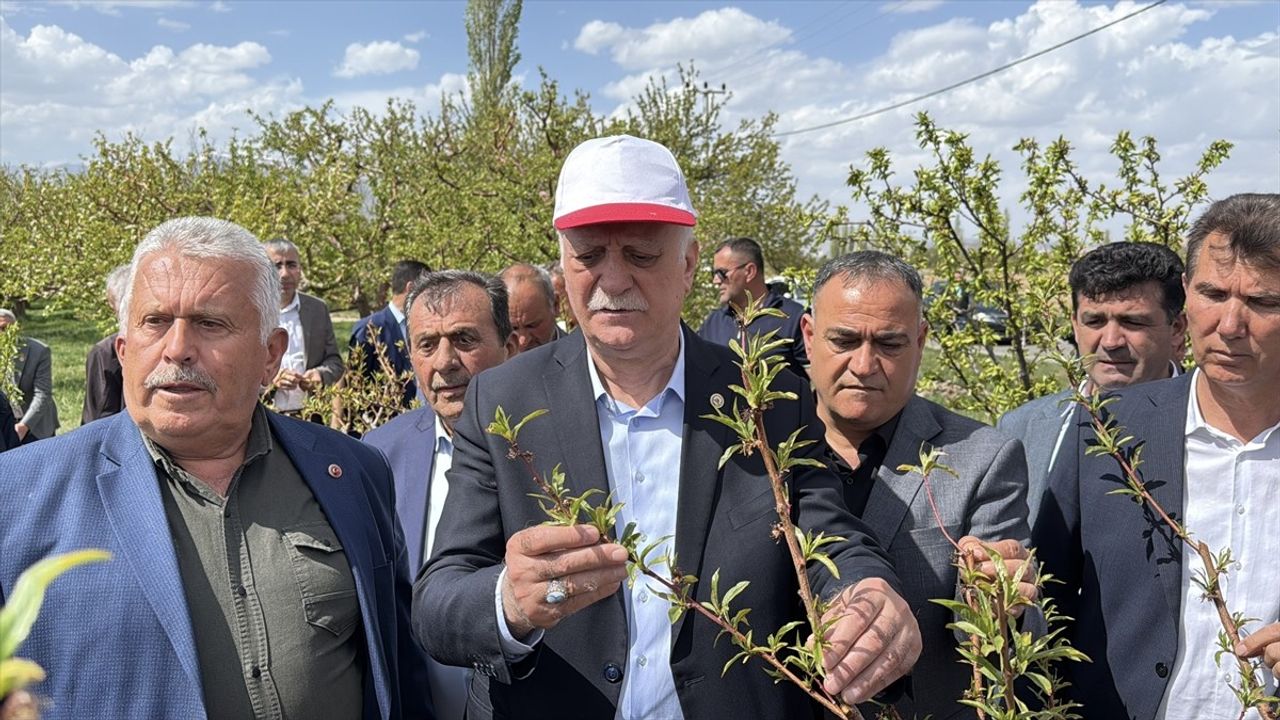 TZOB Genel Başkanı Bayraktar, Niğde ve Kırşehir'de Dondan Etkilenen Bahçeleri İnceledi