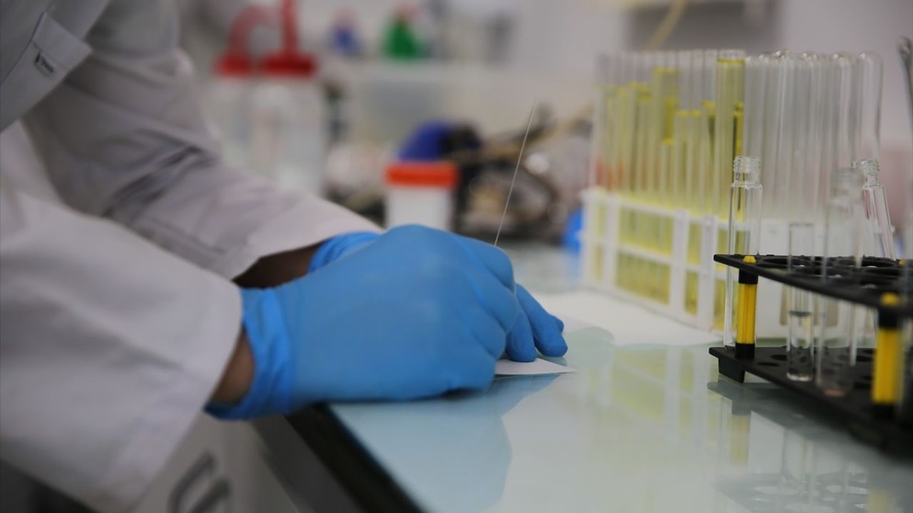 Üniversite-Sanayi İşbirliği ile Üretilen Çipler Dünya İle Buluşuyor