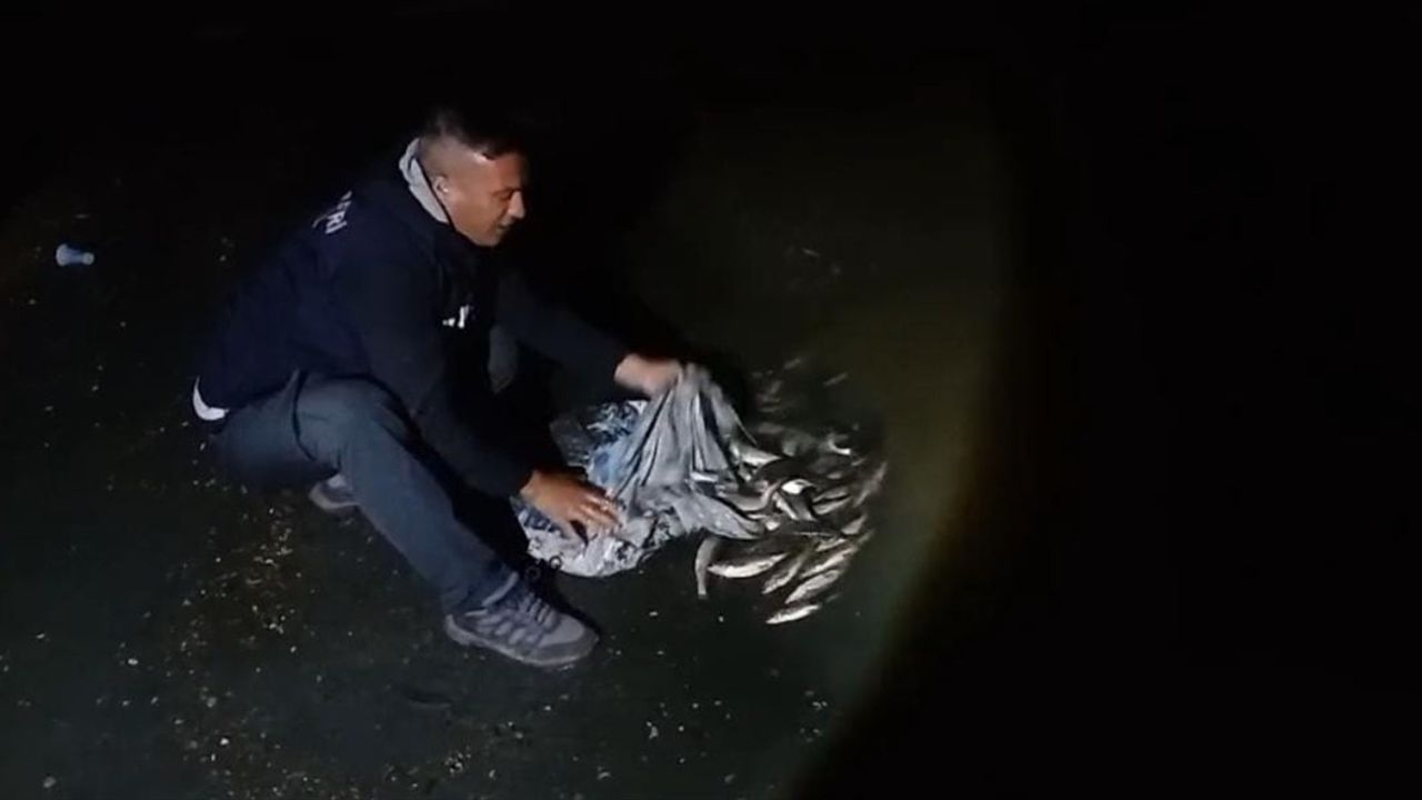 Van'da Kaçak Avlanan 50 Kilogram İnci Kefali Suya Bırakıldı