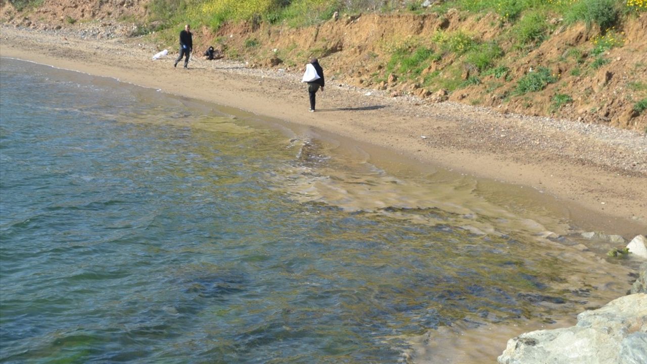 Yalova'nın Armutlu Kıyılarında Müsilaj Belirtileri Görüldü