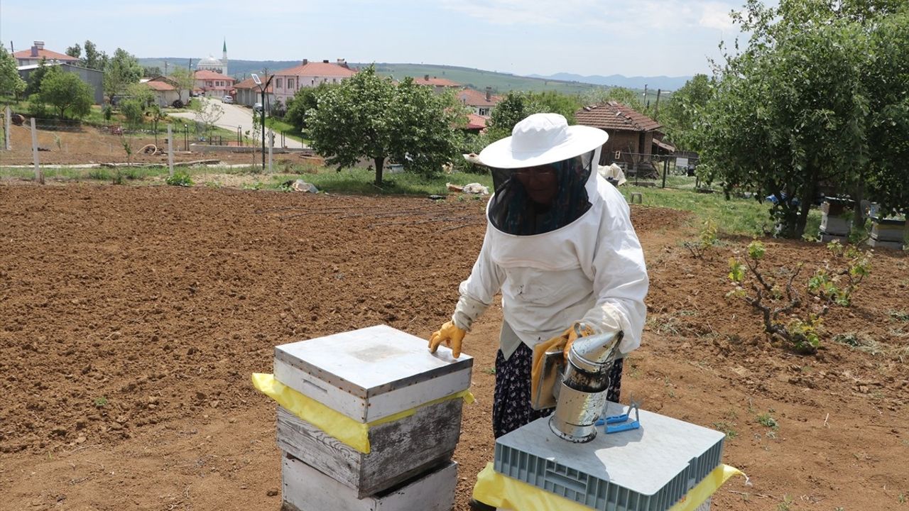 47 Yıldır Arıcılık Yapan Zeynep Günay Tekin: 'Arılar Benim Bir Parçam'