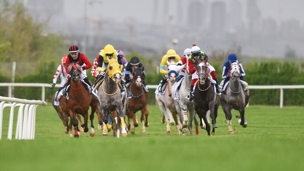 63. TBMM Koşusu'nu 'Deniz Efe' Kazandı