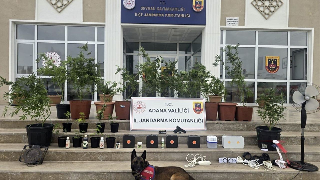 Adana'da Kenevir Yetiştiren Dört Kişi Gözaltına Alındı