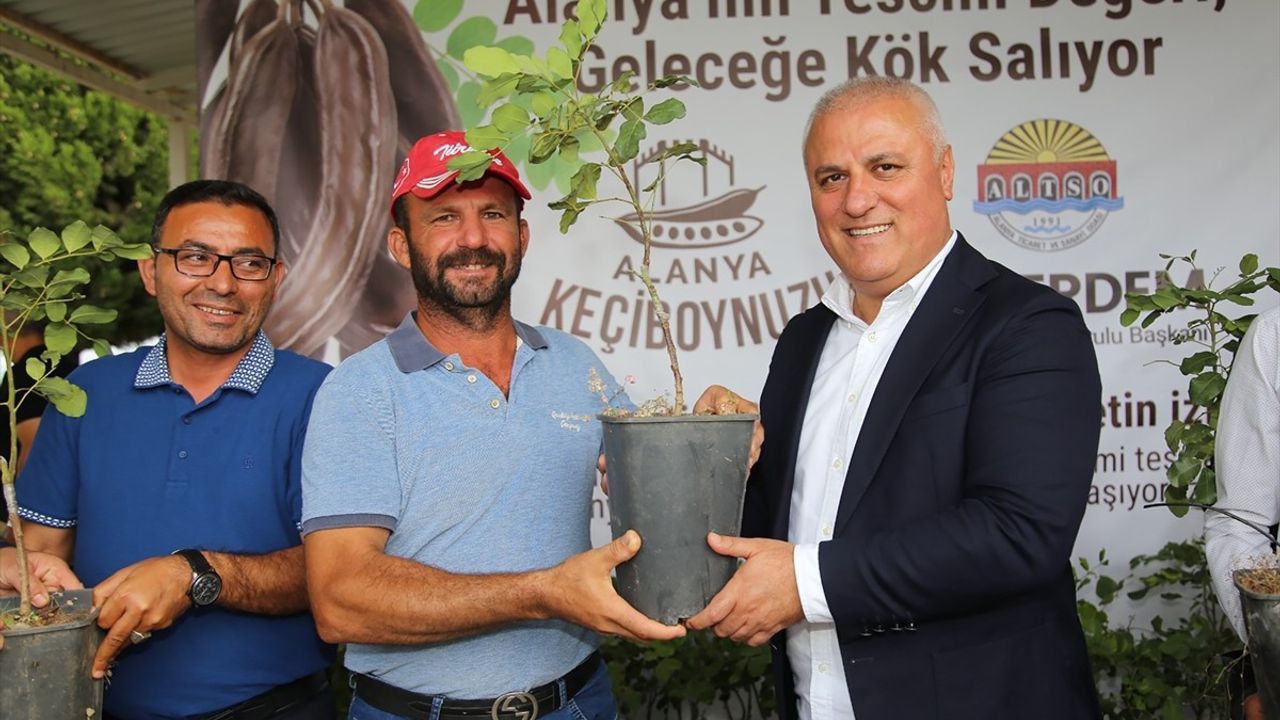 Alanya Keçiboynuzu Coğrafi İşaretle Tescillendi